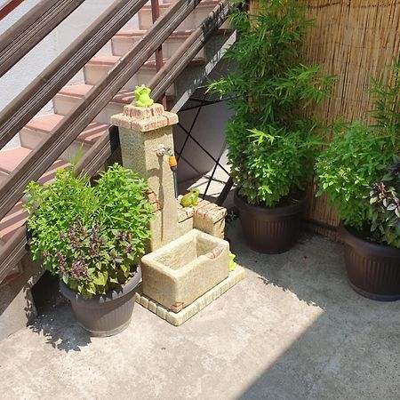 Apartman Djokic 2 Požarevac Esterno foto