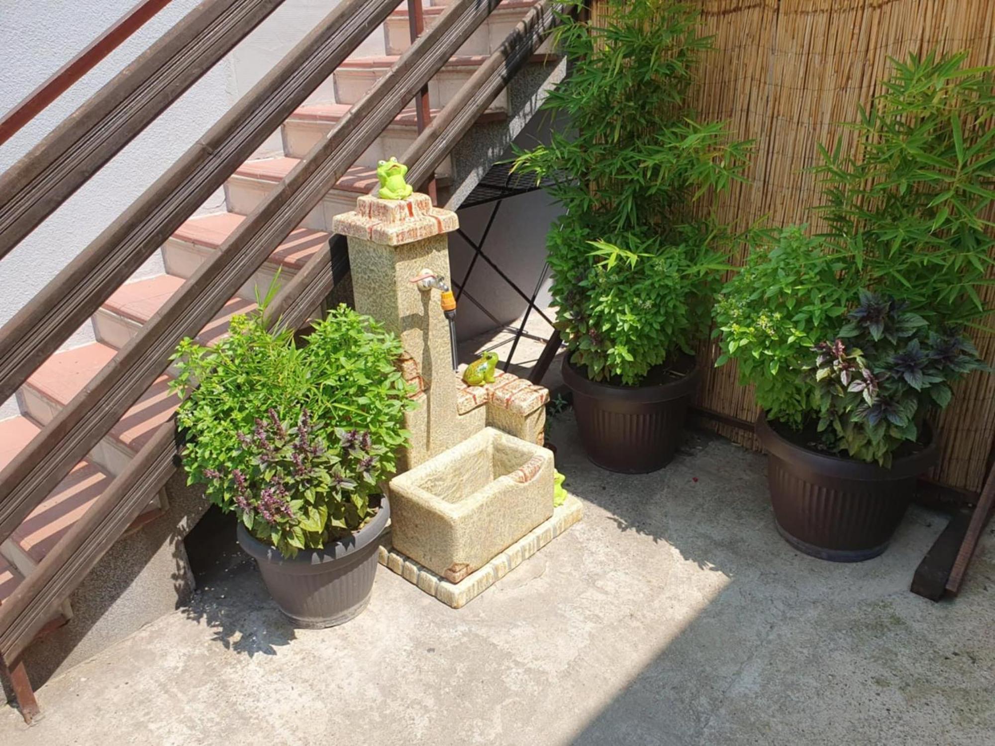 Apartman Djokic 2 Požarevac Esterno foto